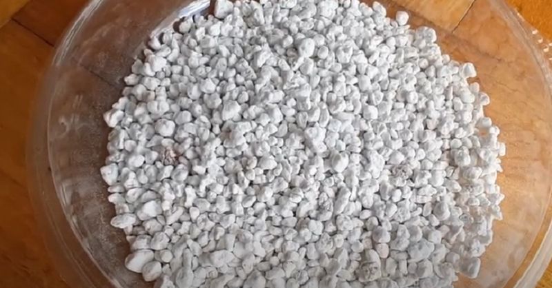 4 Reasons to Use Perlite vs Rice Hulls